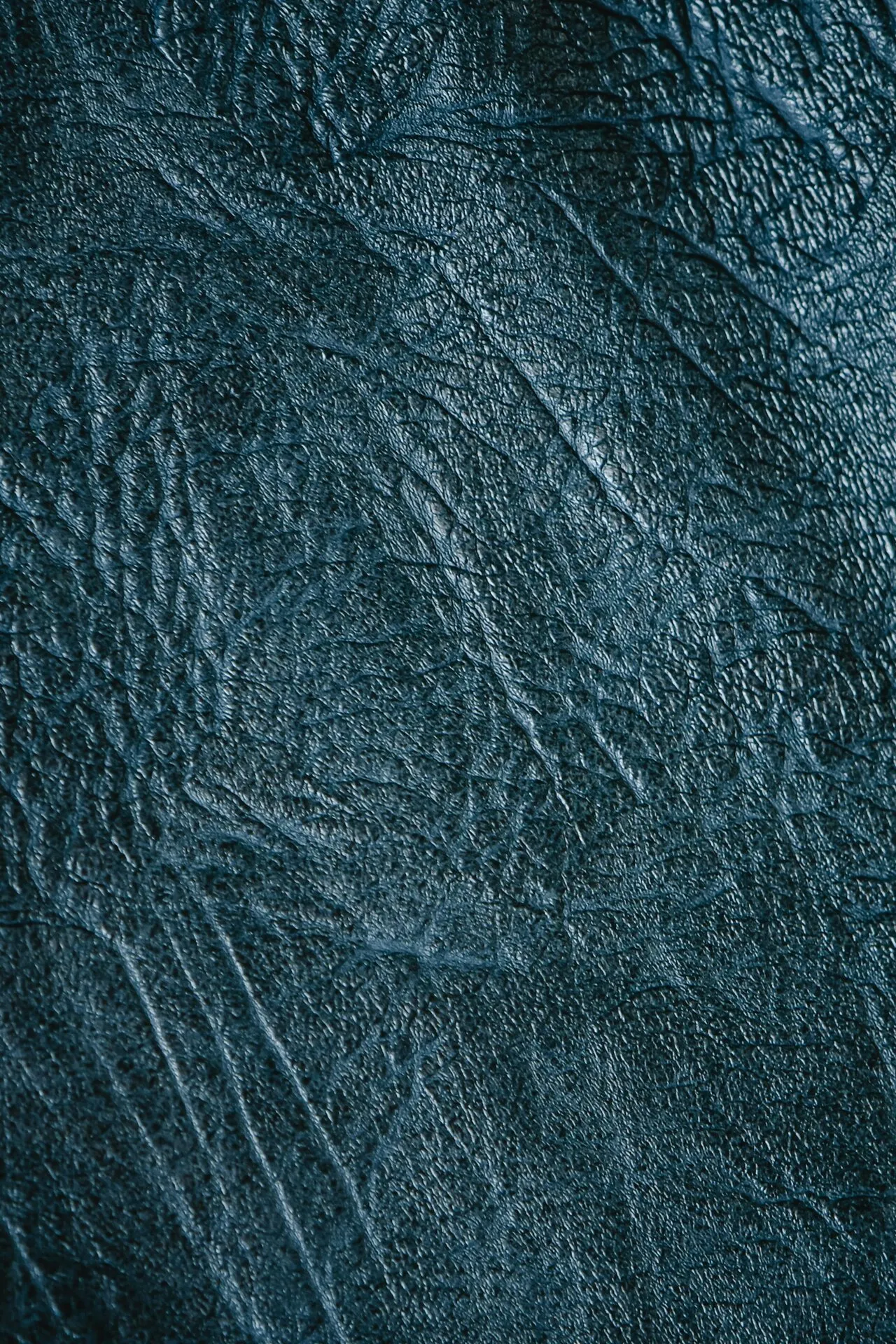 Search by image
